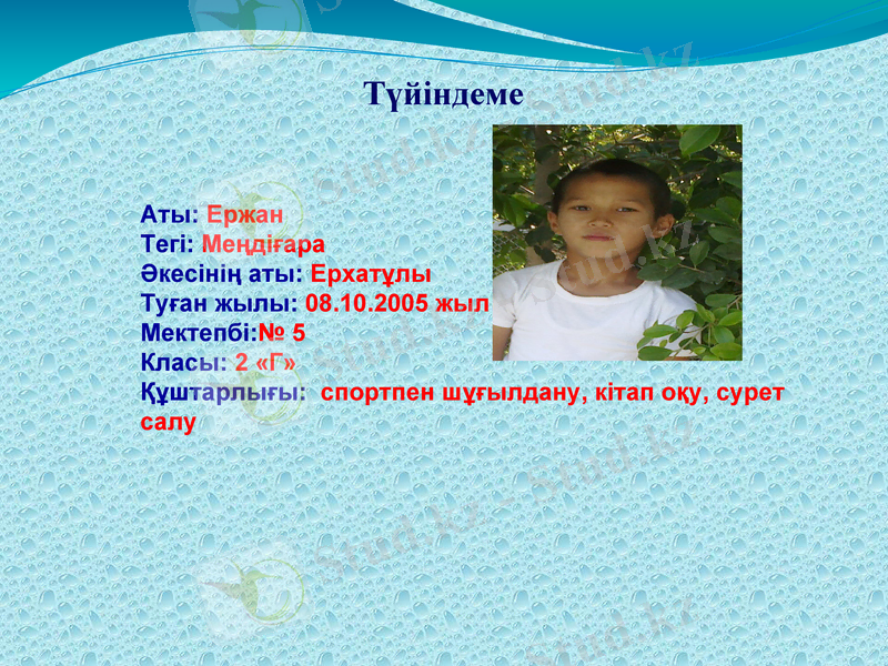 Slide 2