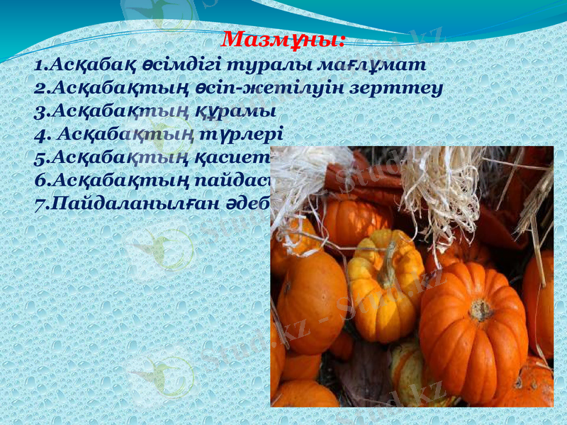 Slide 5