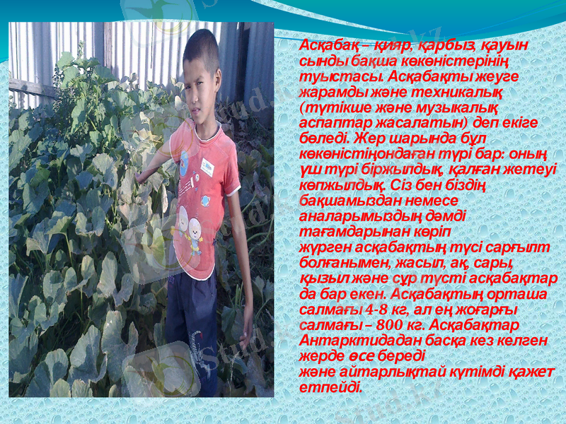 Slide 6