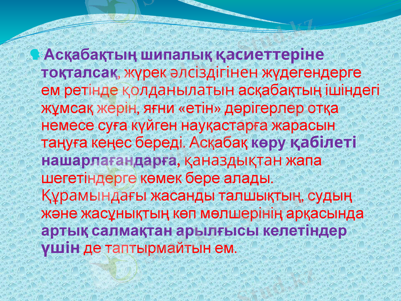 Slide 8