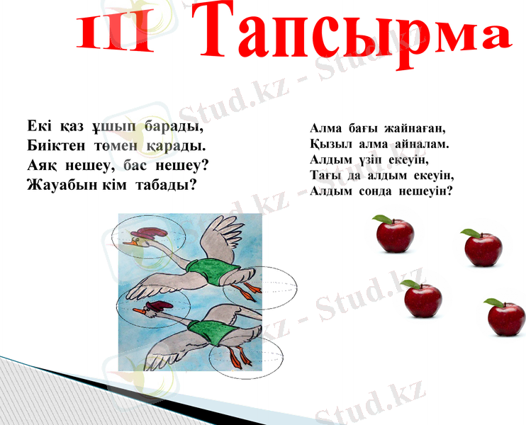 Slide 12