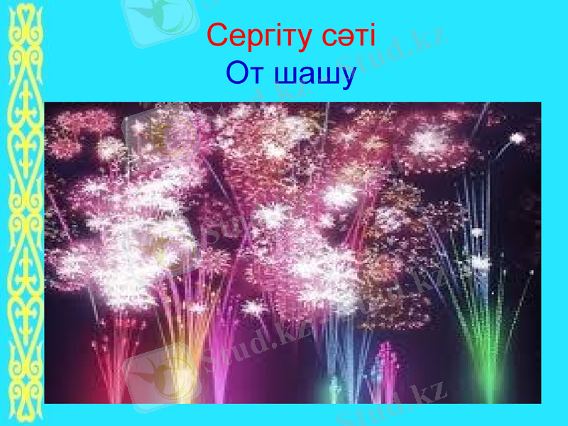 Slide 16