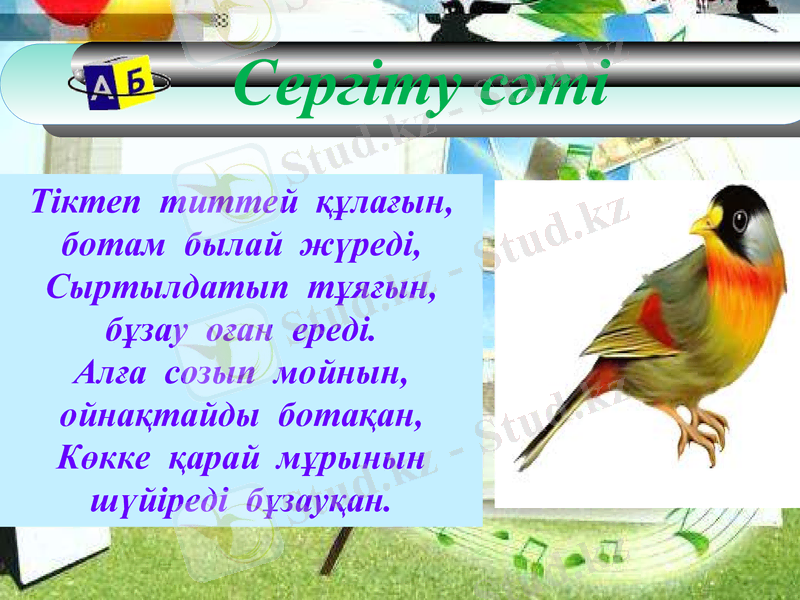 Slide 10
