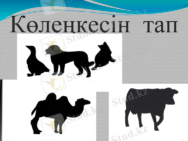 Slide 12