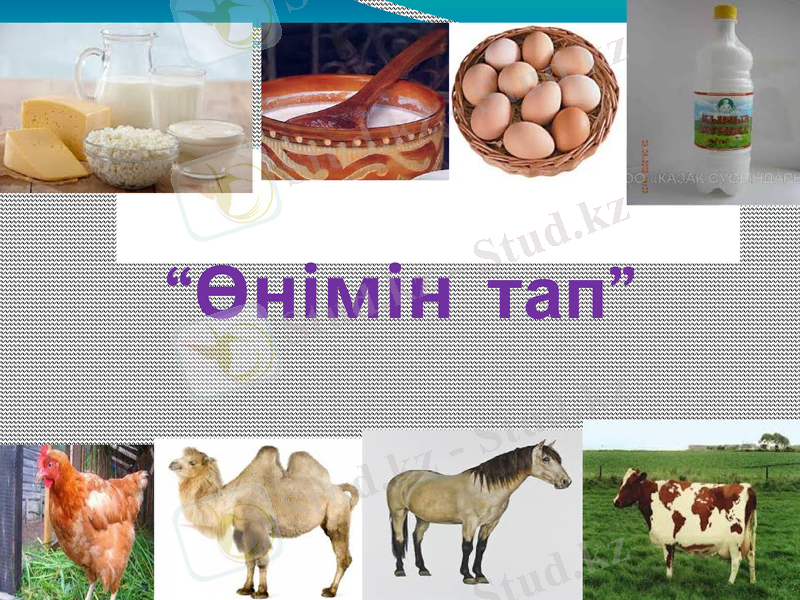 Slide 13