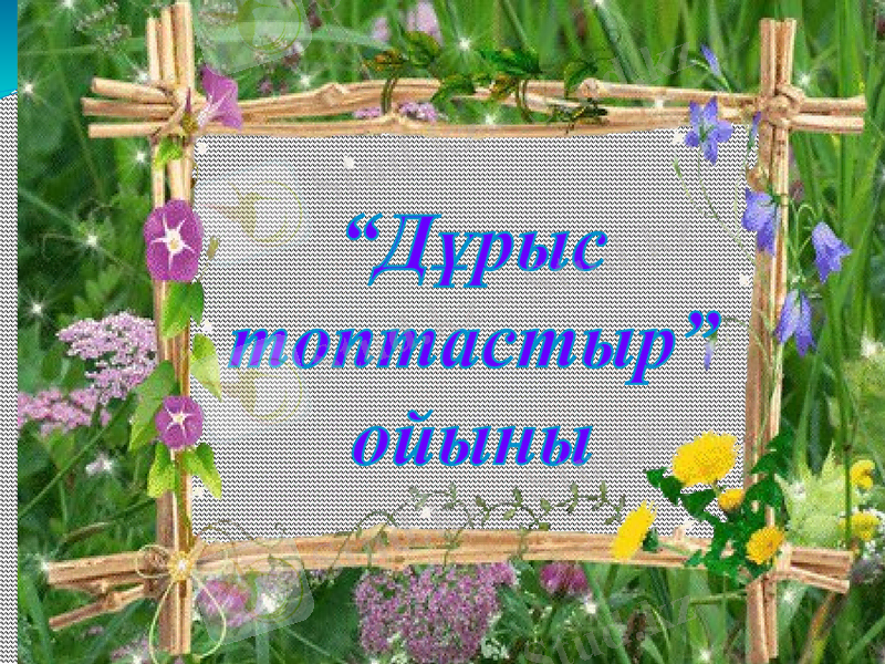 Slide 8