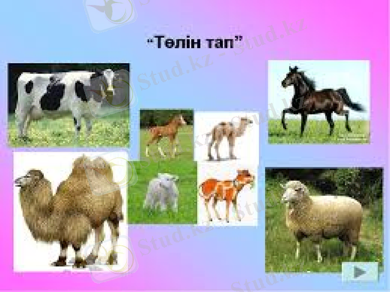 Slide 9