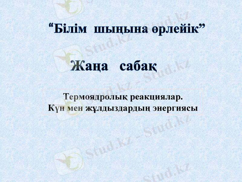 Slide 11