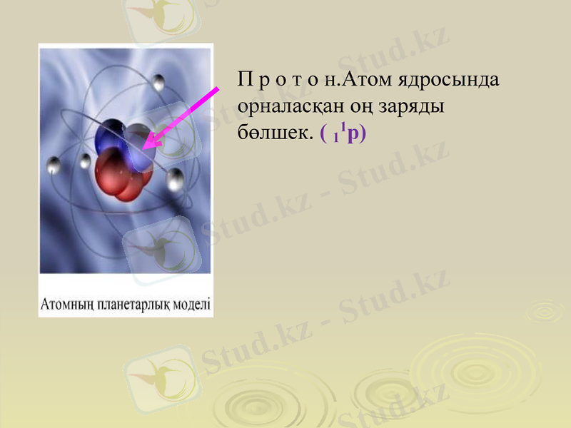 Slide 7