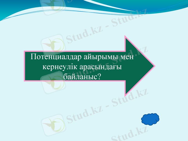 Slide 11