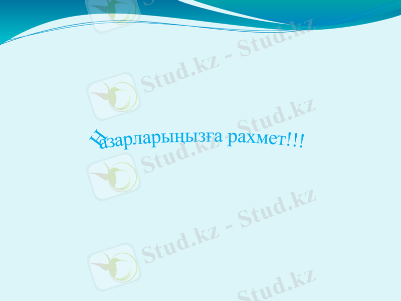 Slide 29
