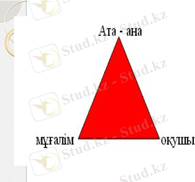 Slide 6