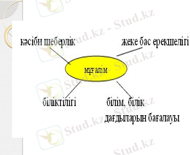 Slide 7