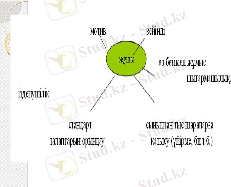 Slide 8