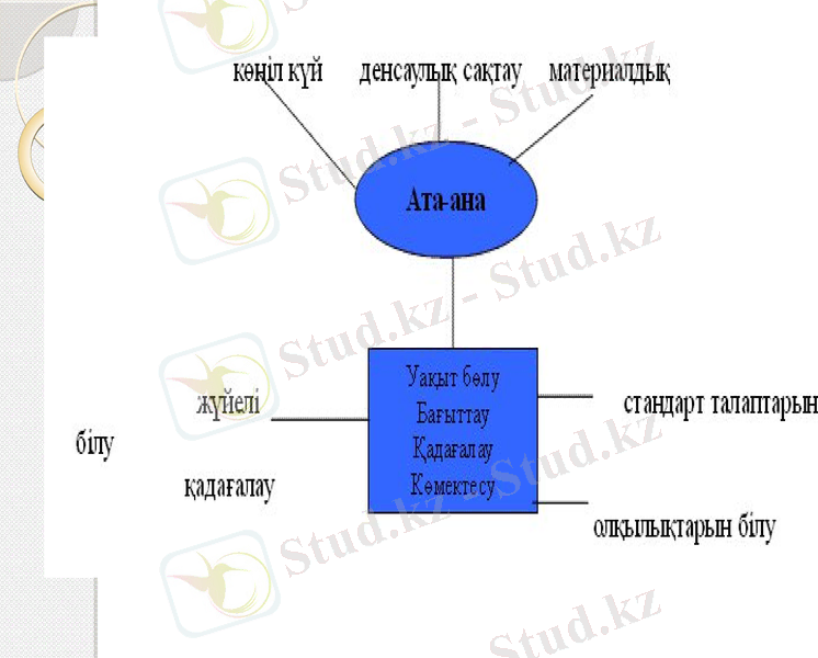 Slide 9