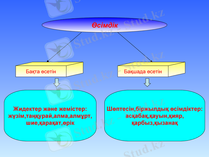 Slide 10