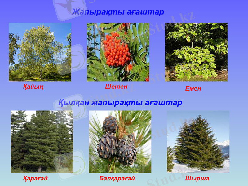 Slide 12