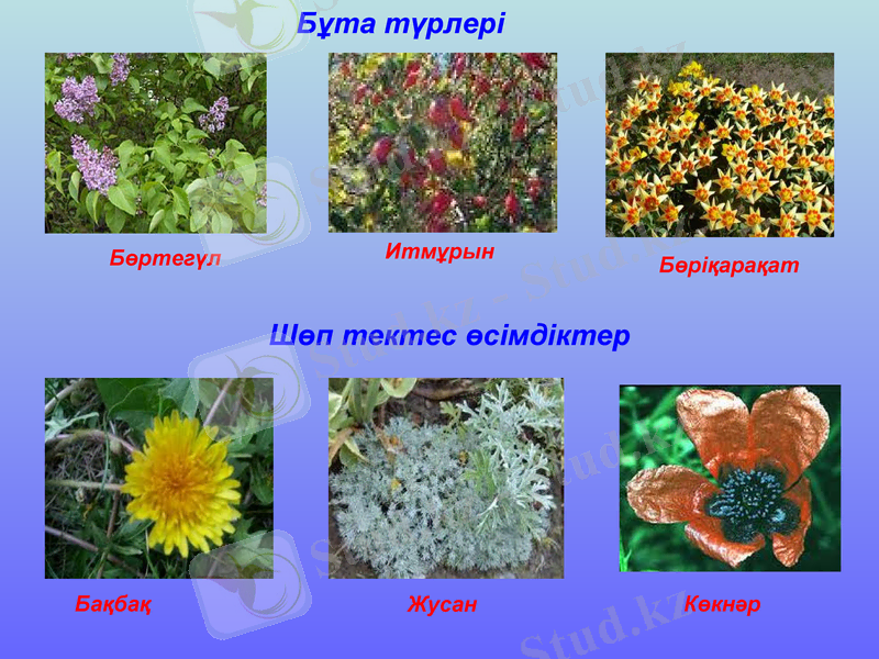 Slide 13
