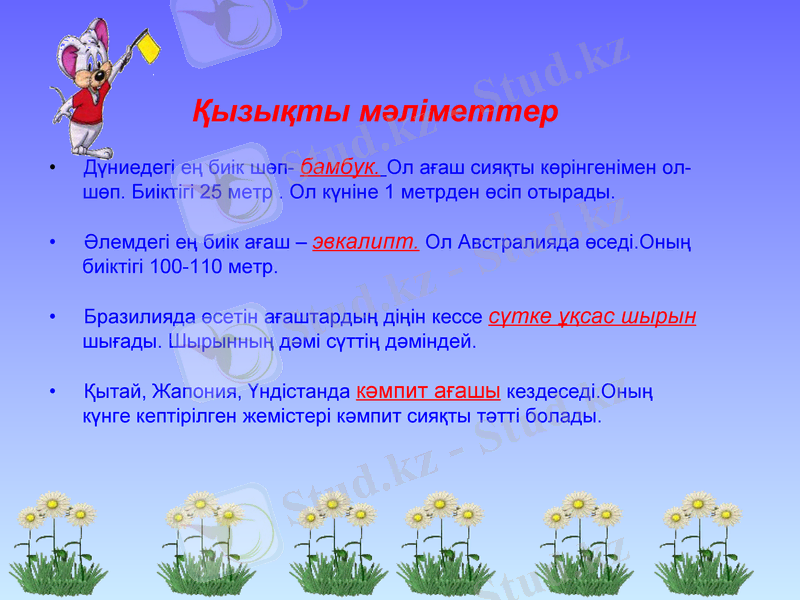 Slide 18