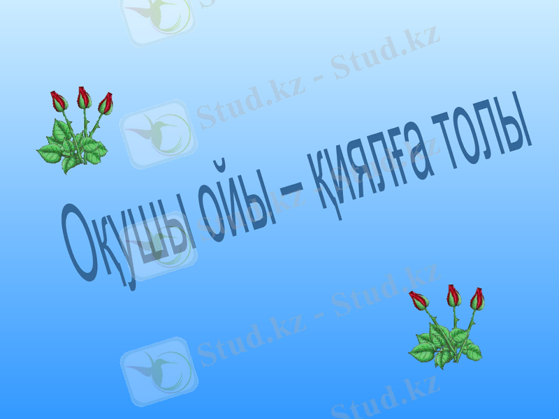 Slide 19