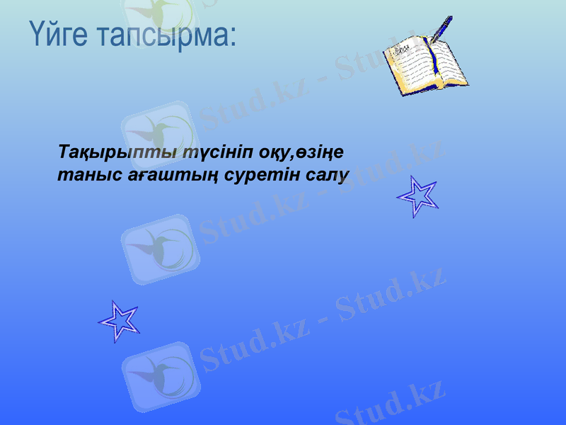 Slide 20