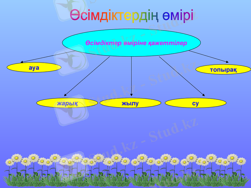 Slide 6