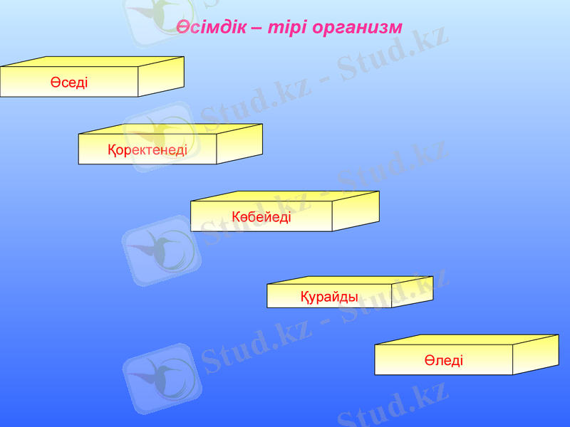 Slide 8