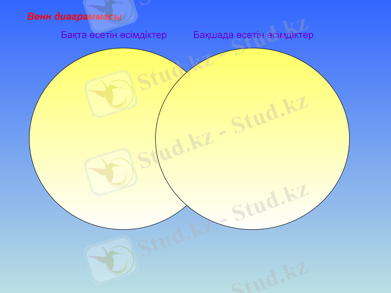 Slide 9