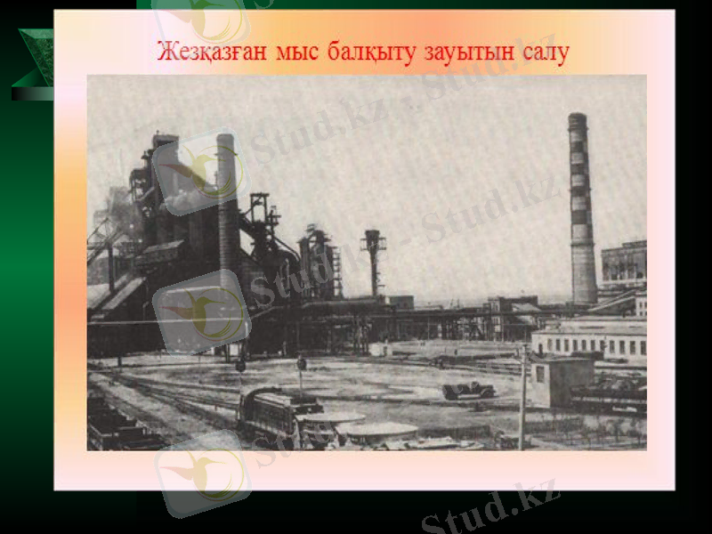 Slide 15
