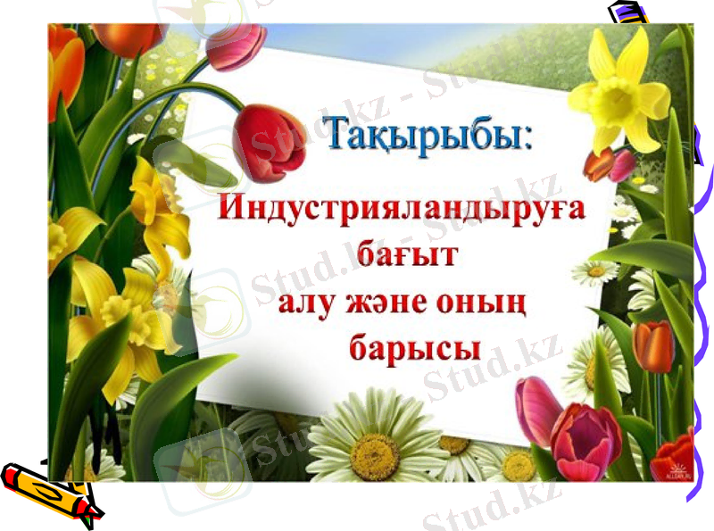 Slide 8