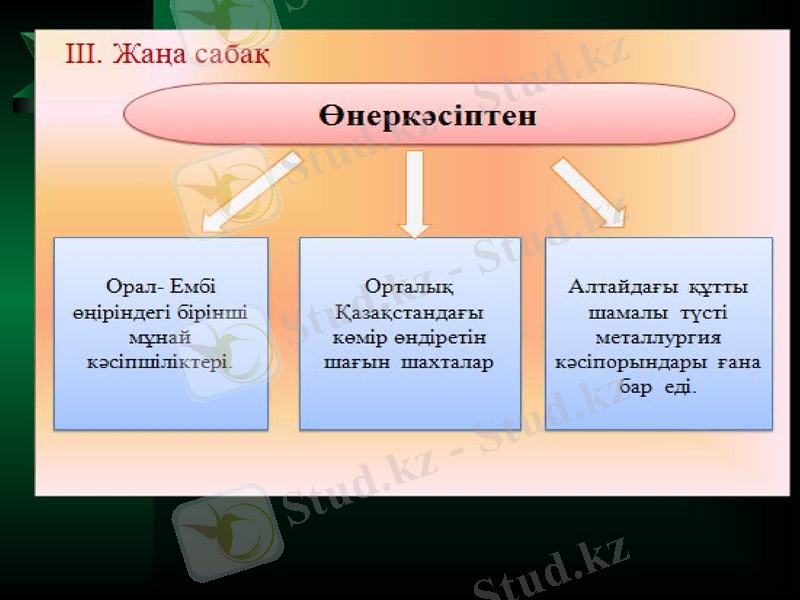 Slide 9