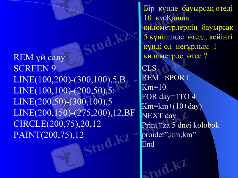 Slide 13