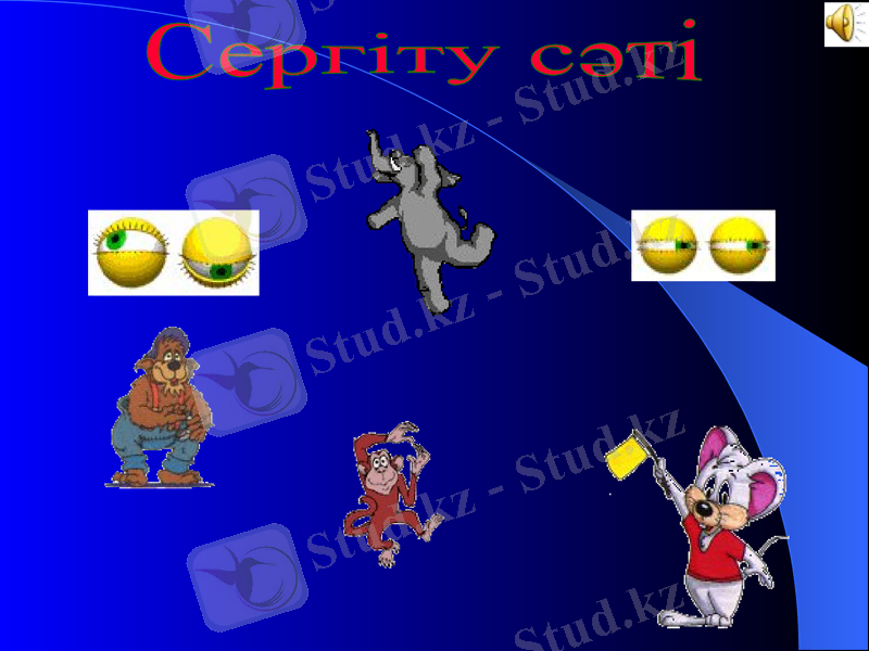 Slide 15