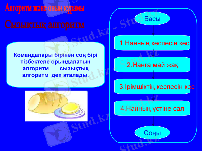 Slide 5