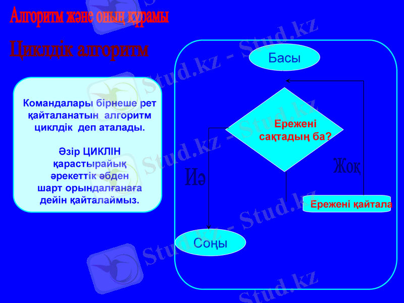 Slide 7