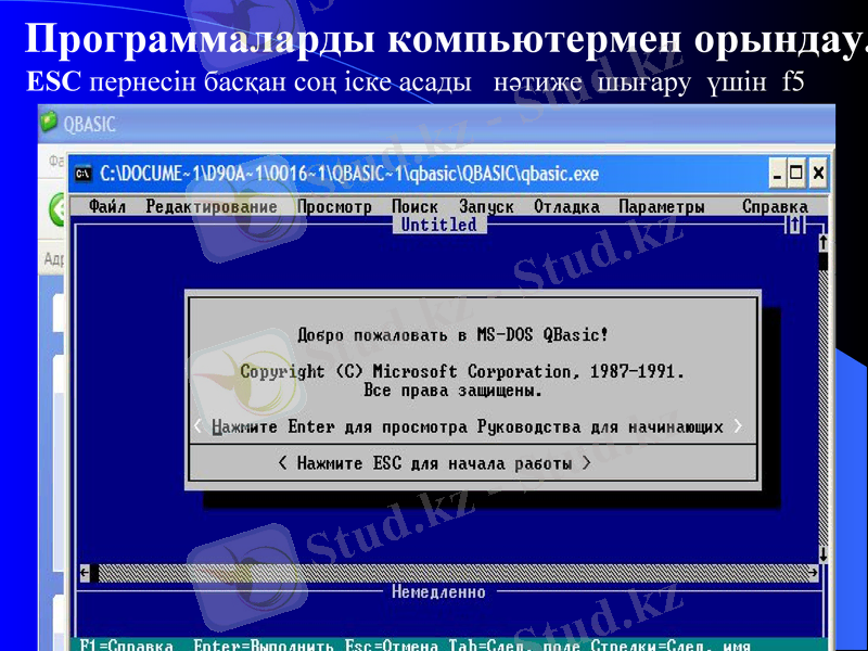 Slide 9