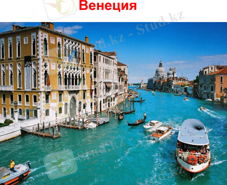 Slide 12