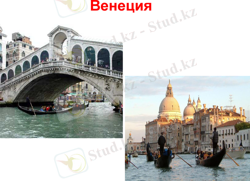 Slide 13
