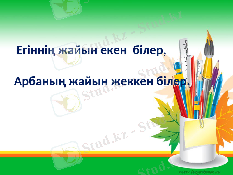 Slide 11