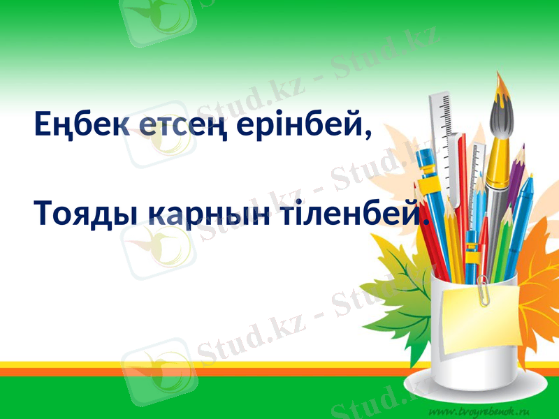 Slide 12
