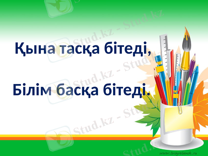 Slide 16