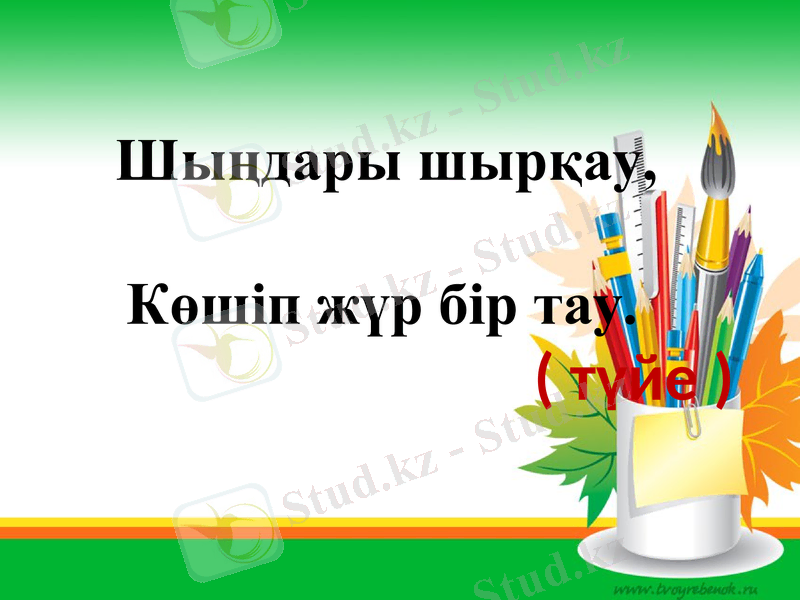 Slide 20