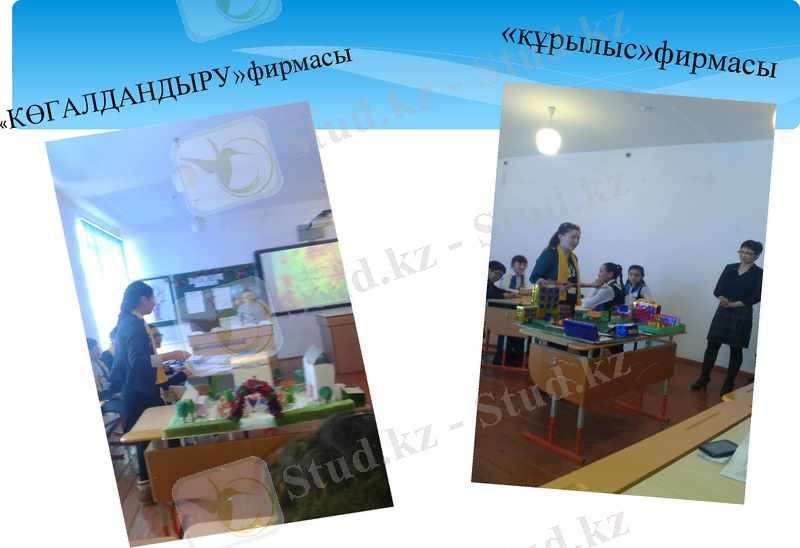 Slide 5