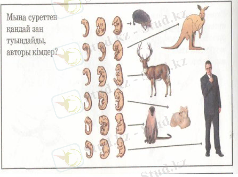 Slide 7