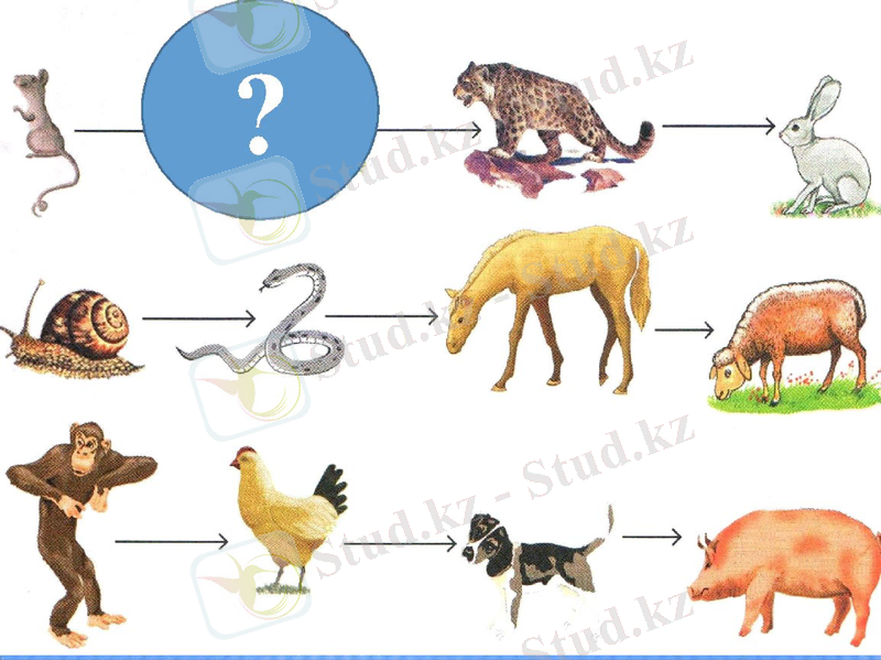 Slide 8