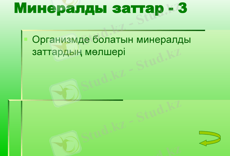 Slide 13