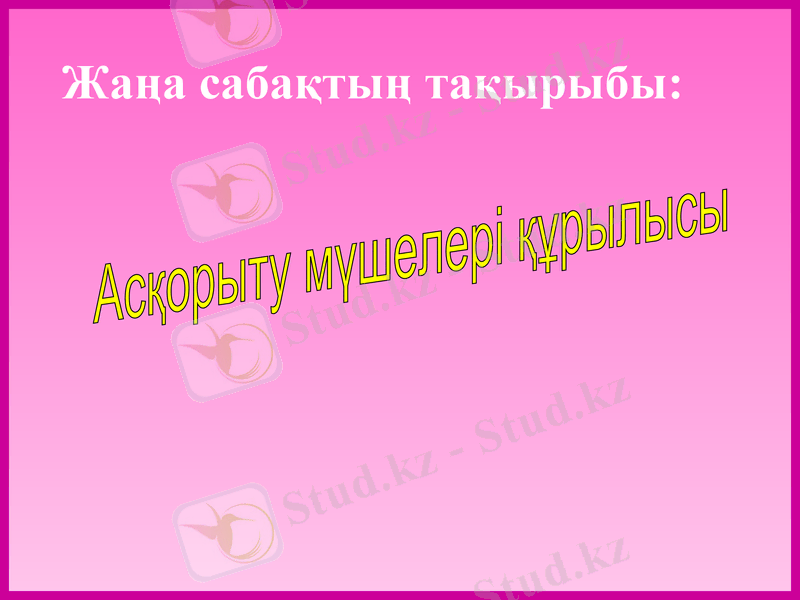 Slide 17