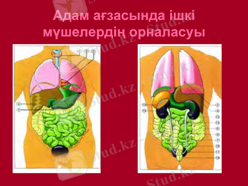 Slide 19