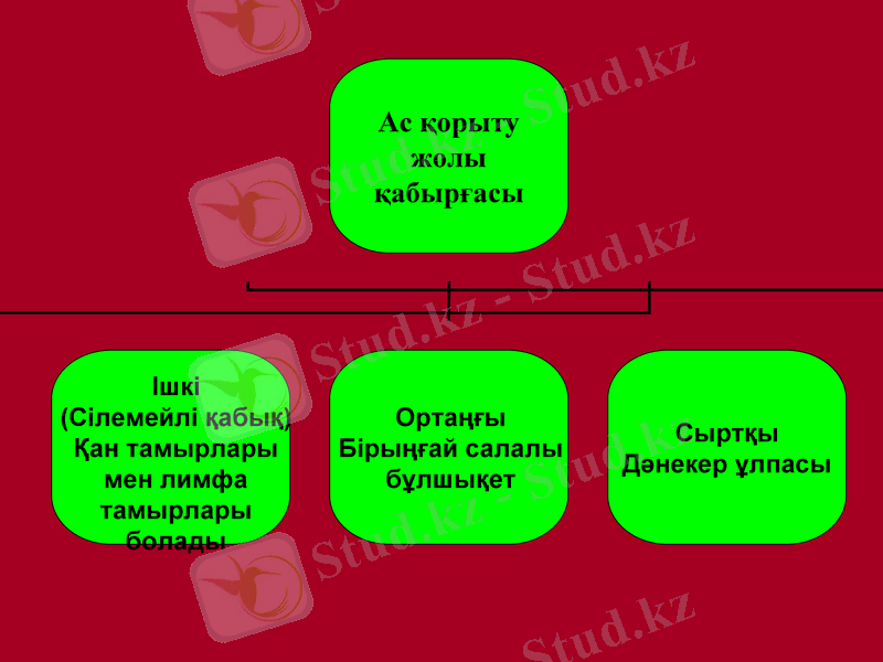 Slide 20