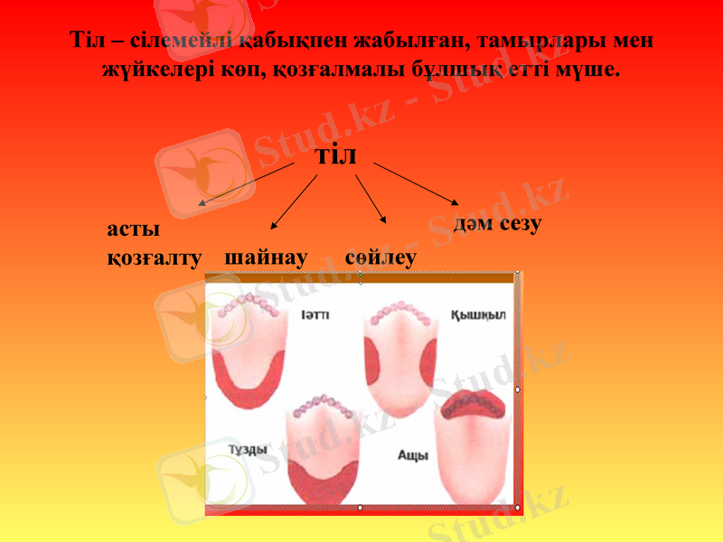 Slide 22
